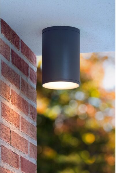 Lucide 27870/01/30 - Plafonieră baie TUBIX 1xE27/24W/230V