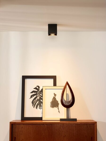 Lucide 09101/01/30 - Lampa spot BODI 1xGU10/42W/230V