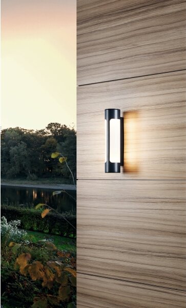 Eglo 97119 - LED aplică perete exterior TONEGO 2xLED/6W/230V