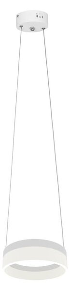 LED Lustră pe cablu RING LED/12W/230V