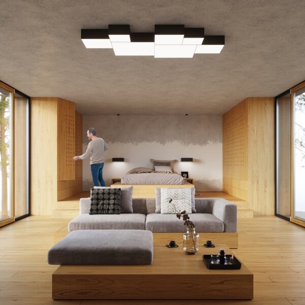 Plafonieră HORUS 35 2xE27/60W/230V negru
