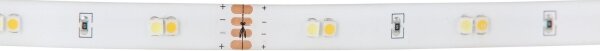 Eglo 97927 - Bandă LED RGB flexibilă dimabilă FLEX LED/10W/230V IP20 2m