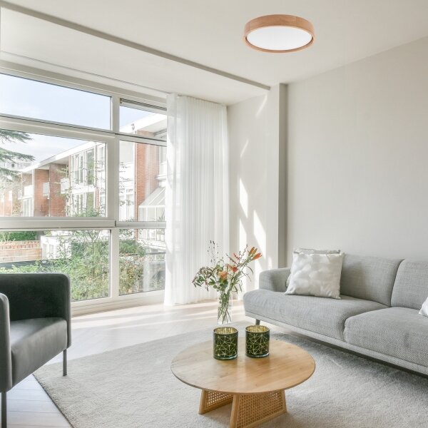 Plafonieră LED Brilagi MANAROLA SMART LED/24W/230V Tuya + telecomandă