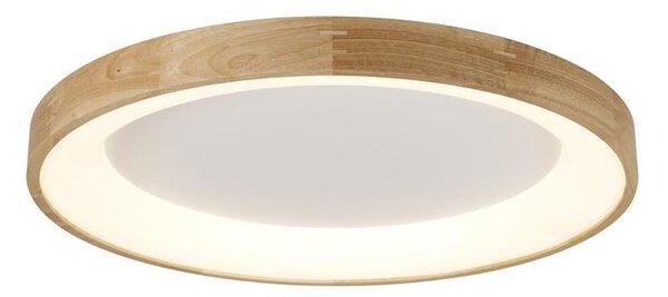 Azzardo AZ2698 - Plafonieră LED SILVAM LED/50W/230V