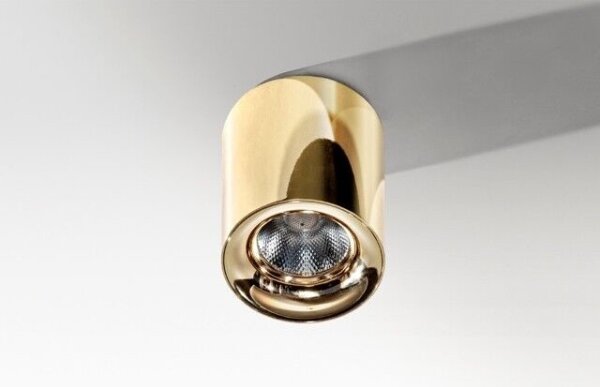 Azzardo AZ2846 - Plafonieră LED MANE/10W/230V