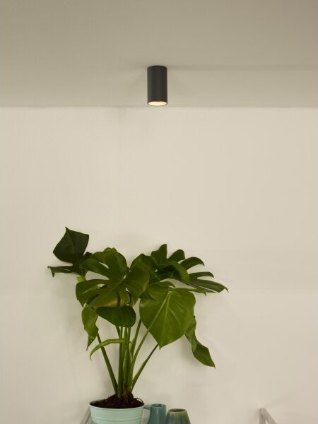 Spot LED dimabil Lucide 09915/06/36 DELTO 1xGU10/5W/230V gri