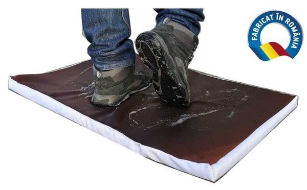 Covoras Intrare Dezinfectant 55x40x3 cm, Material Impermeabil