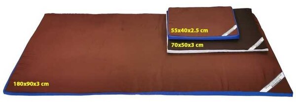 Covoras Intrare Dezinfectant 55x40x3 cm, Material Impermeabil