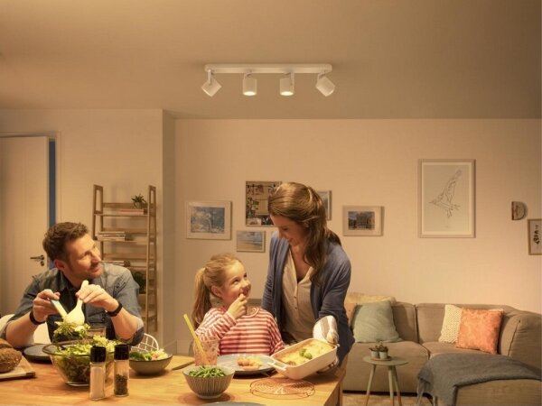Spot LED dimabil Philips 50674/31/P0 BYRL 1xLED/4,5W/230V