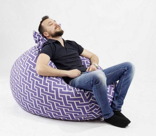 Set Fotoliu Matusalem cu Perna, Material Textil - Zippity Purple
