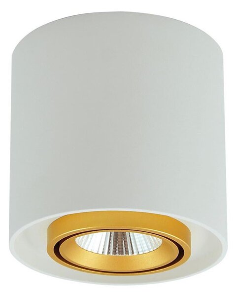 Spot LED XENO LED/15W/230V alb 1200lm