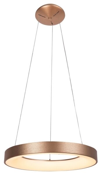 Rabalux - Lustră LED pe cablu CARMELLA LED/50W/230V