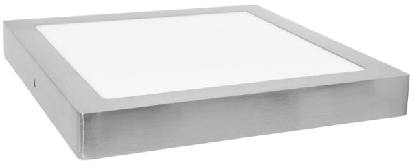 Plafonieră LED RAFA LED/12W/230V 4100K
