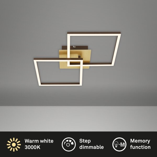 Plafonieră LED dimabilă FRAME 2xLED/11W/230V auriu Briloner 3210-017