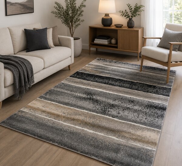 Covor Sufragerie Dormitor, Model Cappuccino 16022 91, Gri 160x230
