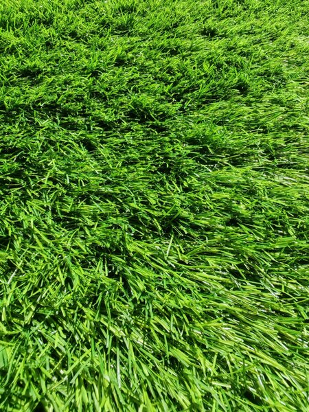 Gazon Artificial Sri Lanka, Fir 30 mm, Verde, pentru Grădină, Curte, Terasă și Piscină 1 metru, 3 metri