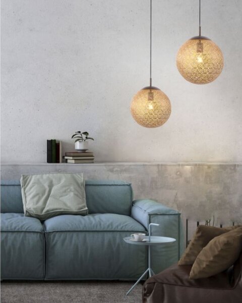Paul Neuhaus 2420-48 - Lustră pe cablu GRETA 1xE27/60W/230V