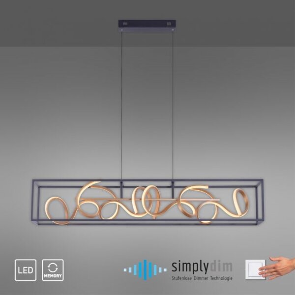 Paul Neuhaus 2416-18 - LED Lustră dimmabilă pe cablu SELINA 4xLED/10,2W/230V