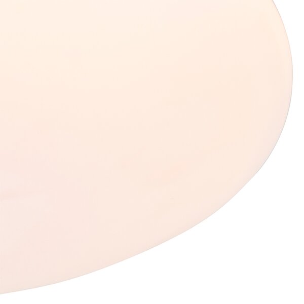 Plafoniera moderna alba 26 cm cu LED inclus - Iene