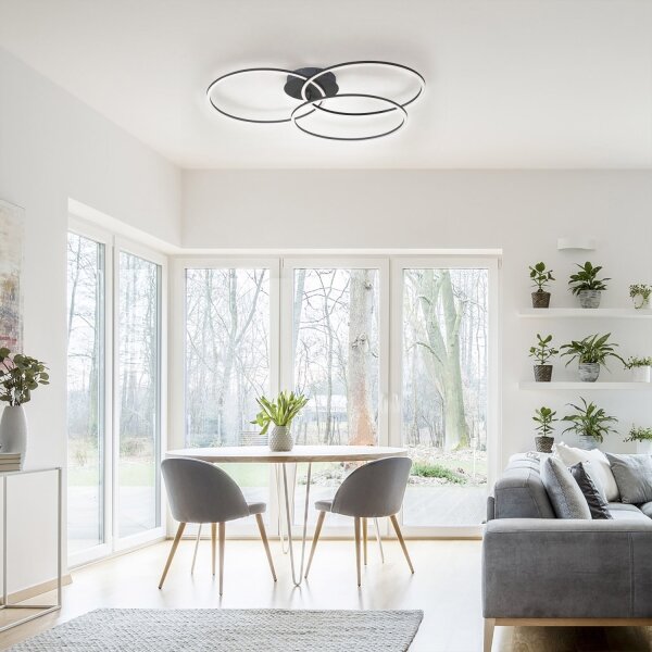 Plafonieră LED dimabilă IVANKA 3xLED/12W/230V Leuchten Direkt 14539-18