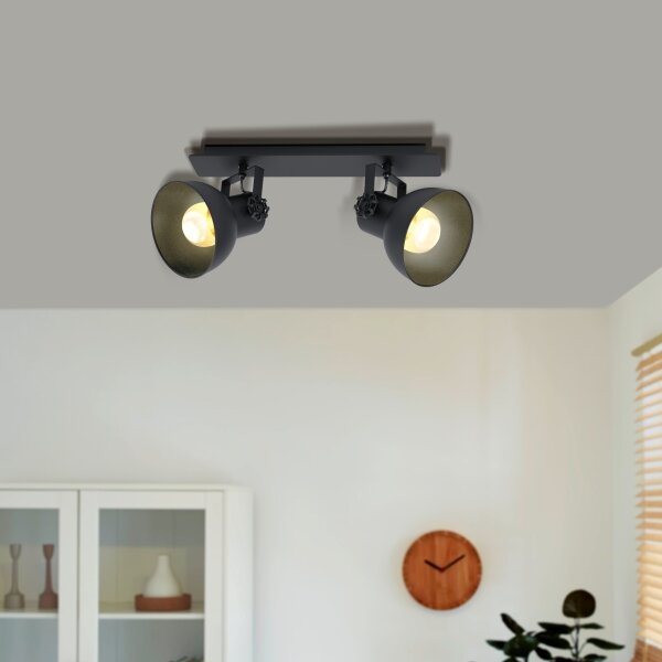 Eglo 43432 - Lampă spot BARNSTAPLE 2 2xE27/40W/230V