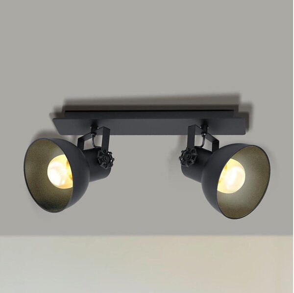 Eglo 43432 - Lampă spot BARNSTAPLE 2 2xE27/40W/230V