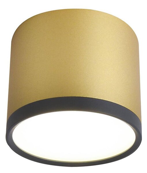 Plafonieră LED TUBA LED/9W/230V