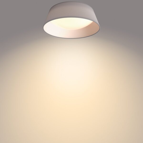Plafonieră LED DAWN LED/14W/230V gri Philips