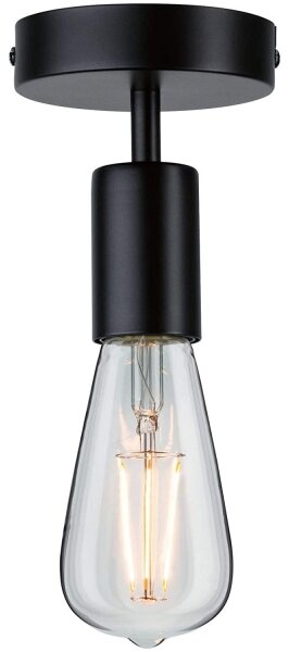 Paulmann 79760 - Plafonieră HALDOR 1xE27/20W/230V
