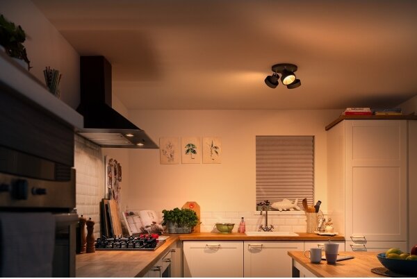 Spot LED dimabil BUKKO 3xLED/4,3W/230V Philips 50603/30/P0