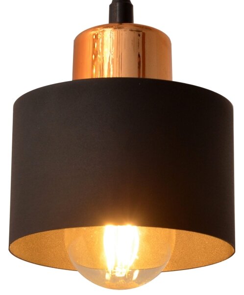Lustră pe cablu EDISON 3xE27/15W/230V