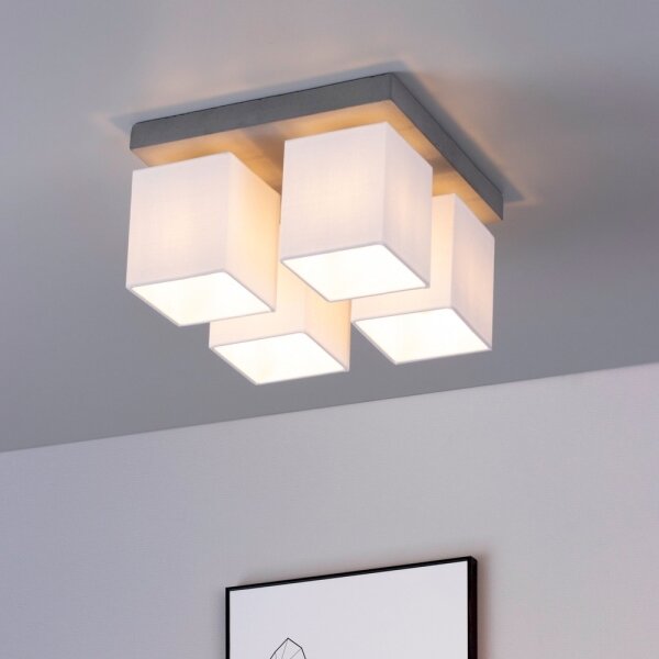 Spot-Light 2241436 - Plafonieră GREAT 4xE27/25W/230V