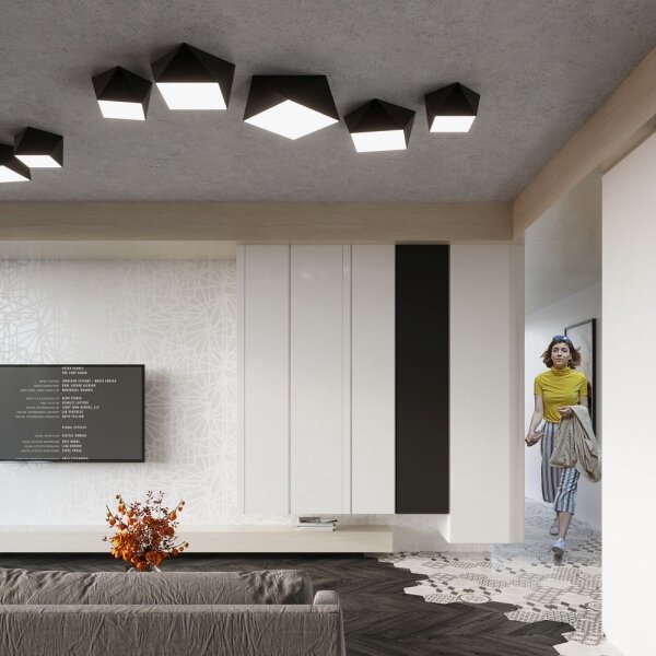 Plafonieră HEXA 2xE27/60W/230V neagră