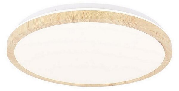 Plafonieră LED GANDAVA LED/24W/230V