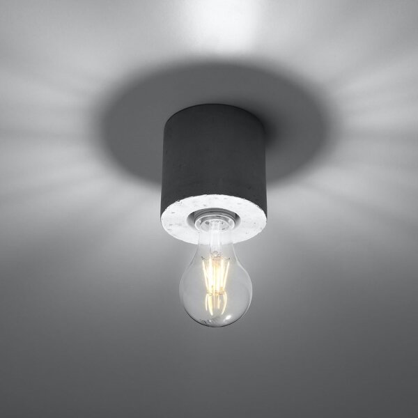 Plafonieră SALGADO 1xE27/60W/230V beton