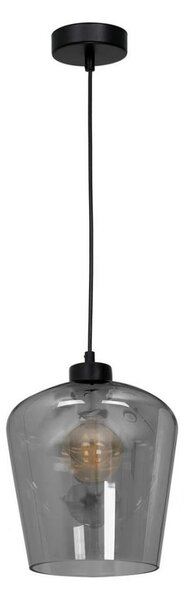 Lustră pe cablu SANTIAGO 1xE27/60W/230V negru
