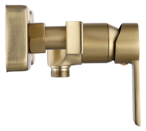 Baterie de duș REA ARGUS GOLD BRUSH