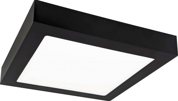 Plafonieră LED FENIX LED/12W/230V 2800K 17 cm