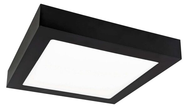 Plafonieră LED FENIX LED/12W/230V 2800K 17 cm