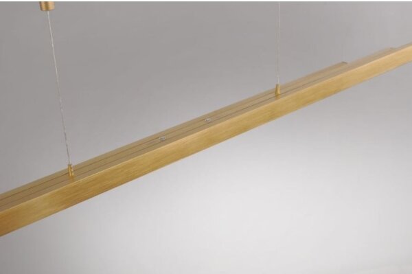 Lustră LED dimabilă pe cablu Paul Neuhaus 2568-60 ADRIANA LED/14W/230V alămie