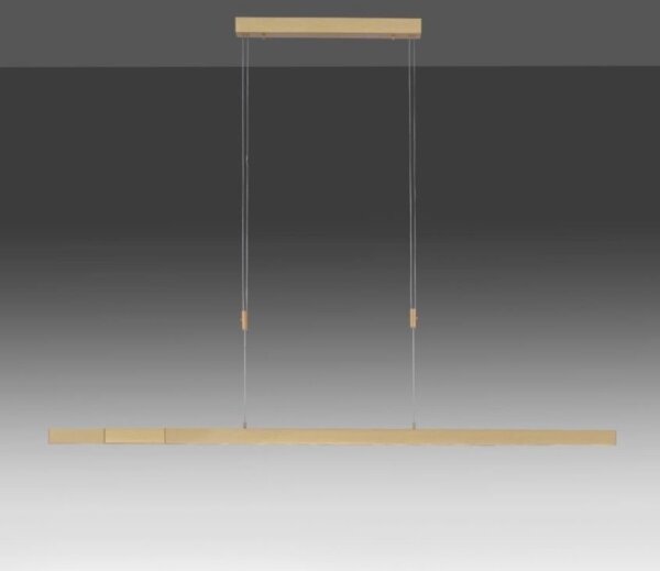 Lustră LED dimabilă pe cablu Paul Neuhaus 2568-60 ADRIANA LED/14W/230V alămie