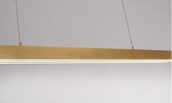 Lustră LED dimabilă pe cablu Paul Neuhaus 2568-60 ADRIANA LED/14W/230V alămie