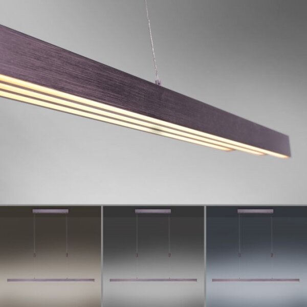 Lustră LED dimabilă pe cablu Paul Neuhaus 2568-24 ADRIANA LED/14W/230V