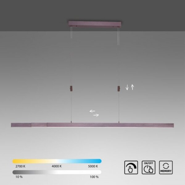 Lustră LED dimabilă pe cablu Paul Neuhaus 2568-24 ADRIANA LED/14W/230V