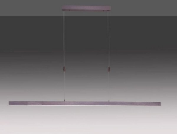 Lustră LED dimabilă pe cablu Paul Neuhaus 2568-24 ADRIANA LED/14W/230V