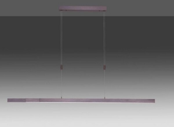 Lustră LED dimabilă pe cablu Paul Neuhaus 2568-24 ADRIANA LED/14W/230V