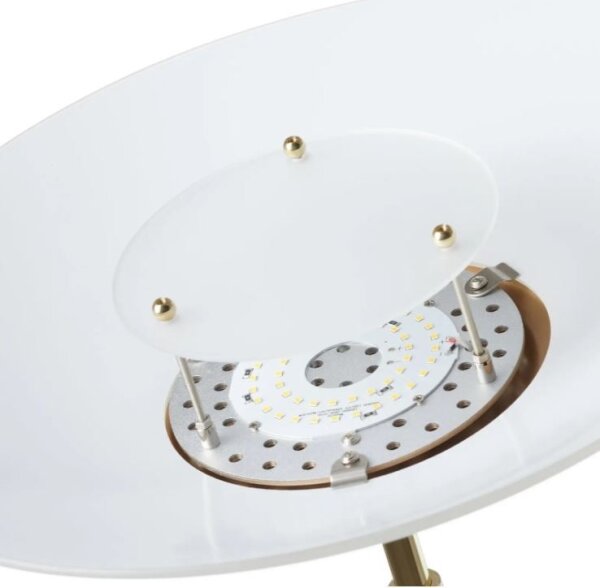 Paul Neuhaus 655-60 - Lampă LED dimmabilă ALFRED LED/28W/230V+LED/4W/230V
