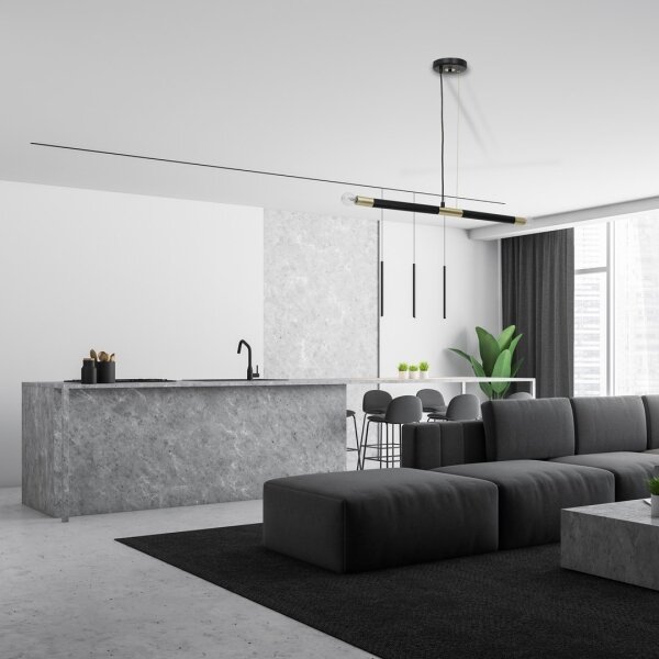 Lustră pe cablu BASTONE 2xE14/40W/230V neagră/aurie