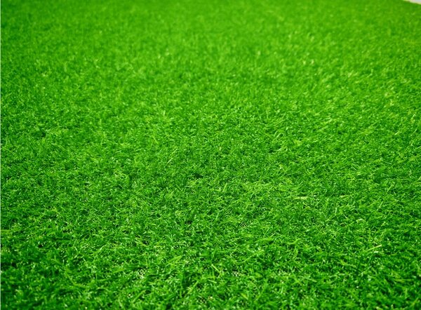 Gazon Artificial Leisure, Fir 15 mm, Verde, pentru Grădină, Curte, Terasă și Piscină 2 metri, 2 metri