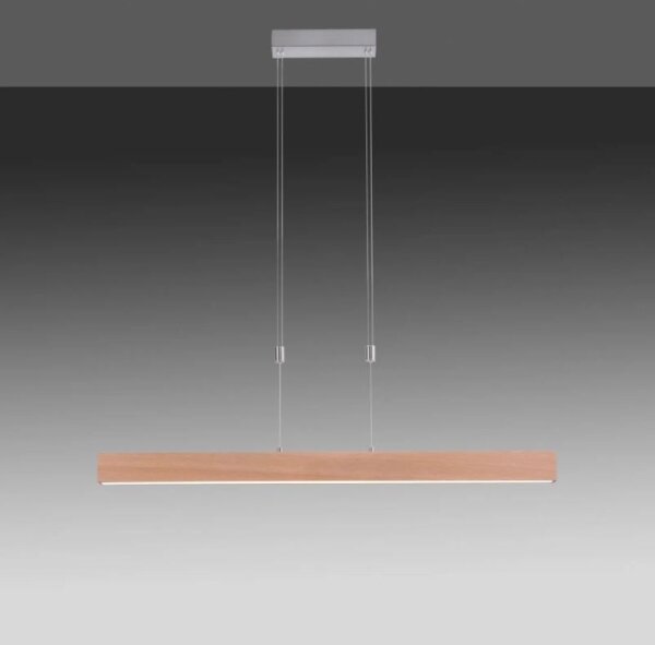 Lustră LED dimabilă pe cablu Leuchten Direkt 11420-78 AMANDA LED/30W/230V